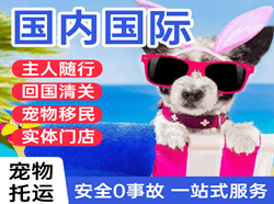 福成机场快运国际宠物托运 【国